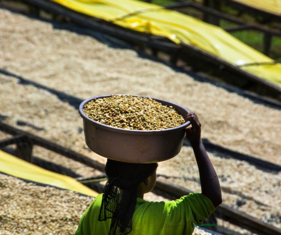 ca-phe-ethiopia-bona-zuria-bare-g1
