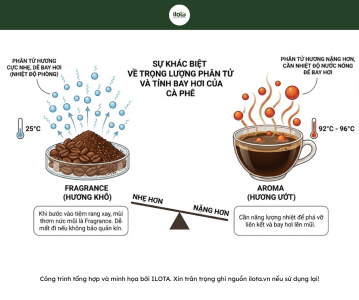 phan-biet-fragrance-va-aroma