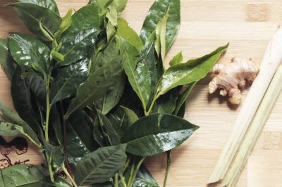 che-xanh-viet-nam-va-am-che-tich-can-gin-giu