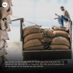 arabica-ethiopia-sidamo-morea