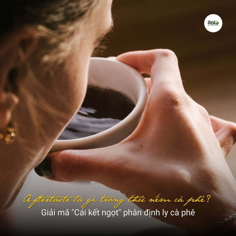 aftertaste-la-gi-trong-thu-nem-ca-phe