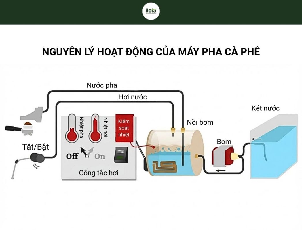 chi-tiet-cau-tao-cua-may-pha-ca-phe-espresso