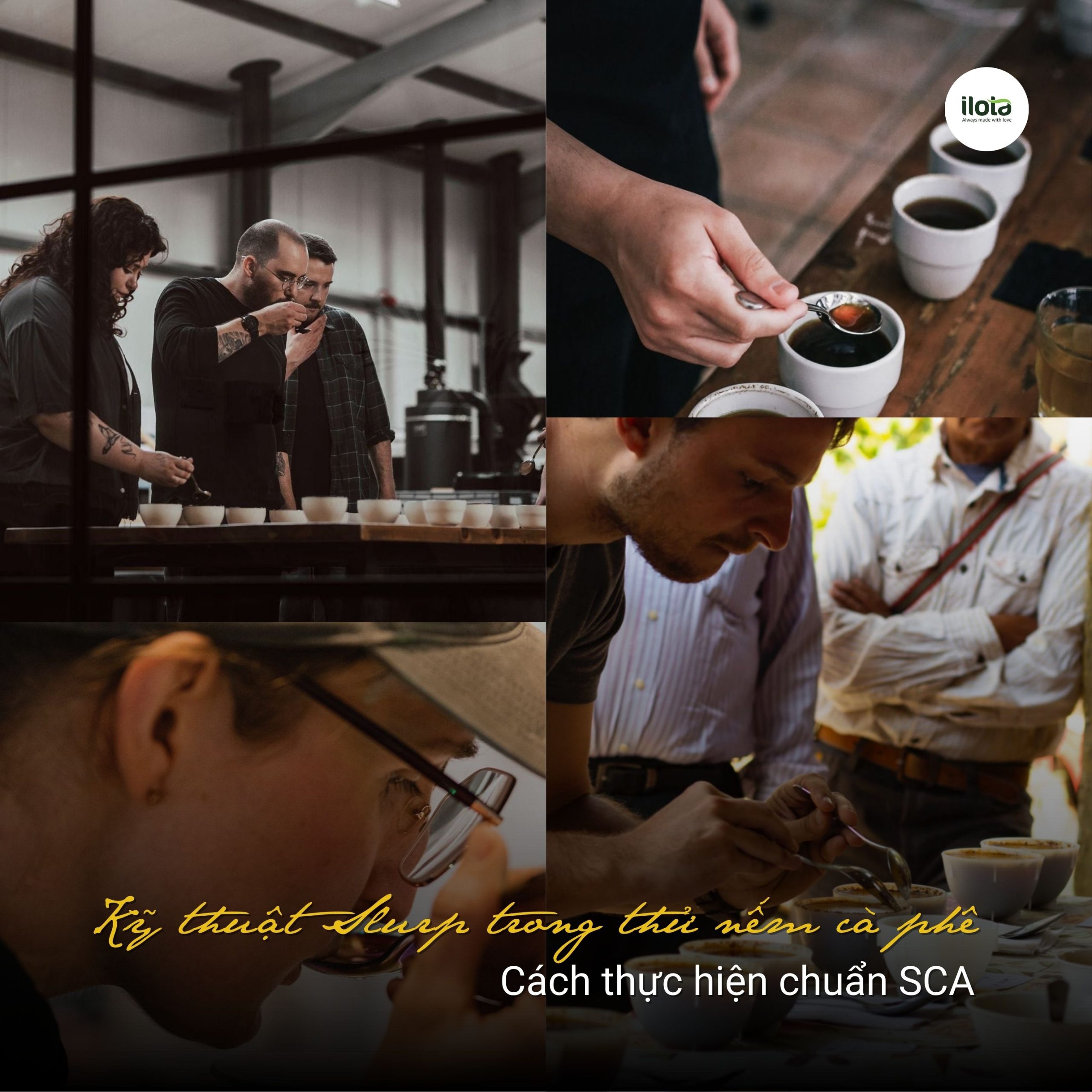 ky-thuat-slurp-trong-thu-nem-ca-phe