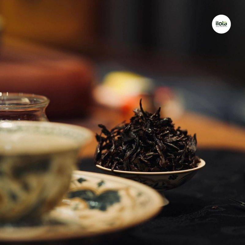nhiet-do-u-tra-chuan-cho-tung-loai-tra-la-bao-nhieu