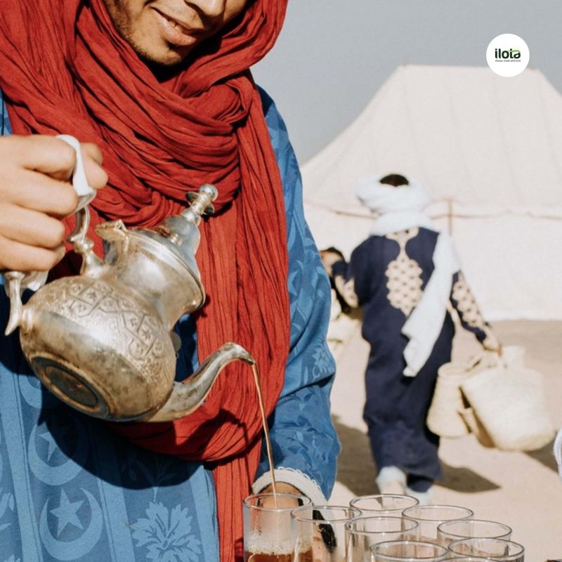 tra-bac-ha-maghrebi
