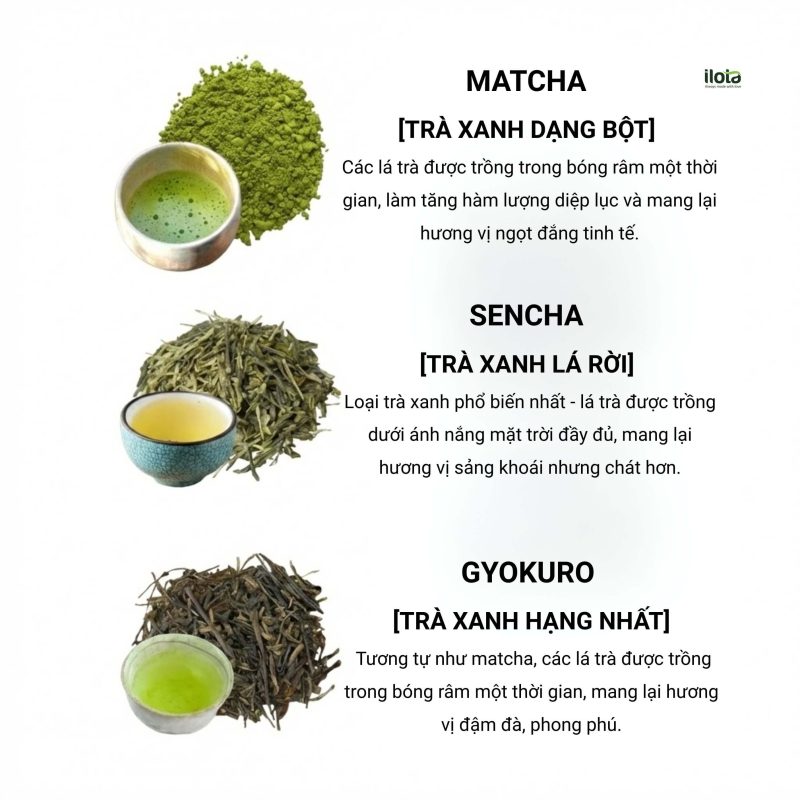 tai-sao-phai-che-nang-cho-cay-tra