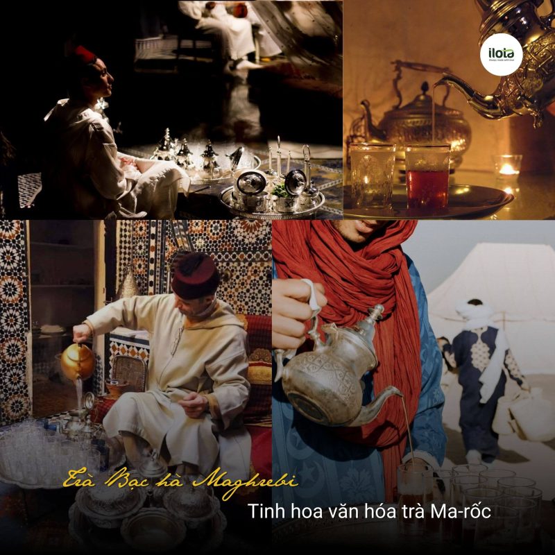 tra-bac-ha-maghrebi