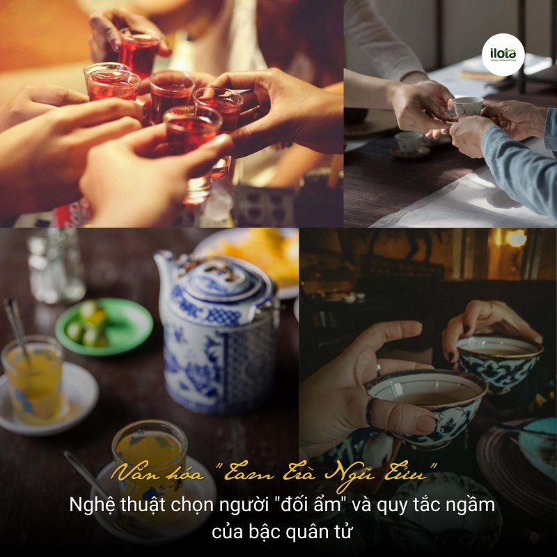 van-hoa-tam-tra-ngu-tuu