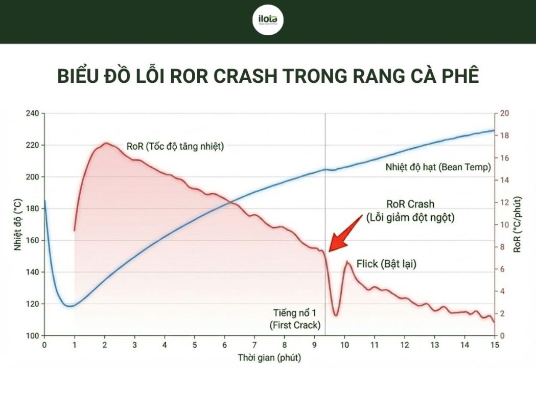 nhan-biet-loi-ror-crash-va-ror-flick