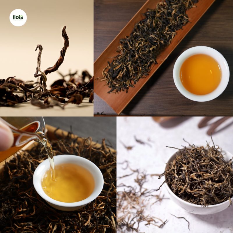 hong-tra-shan-tuyet-co-thu