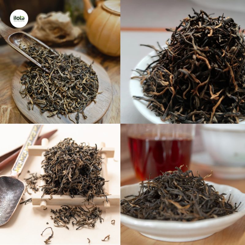 hong-tra-shan-tuyet-co-thu