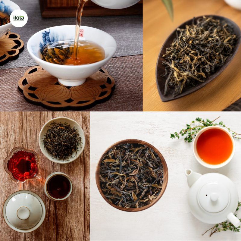 hong-tra-shan-tuyet-co-thu