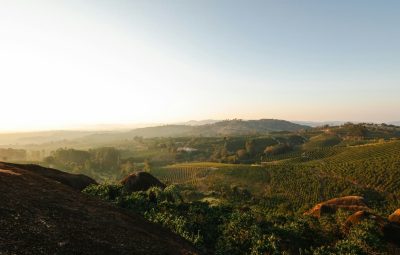 arabica-ethiopia-guji-hambella-g1