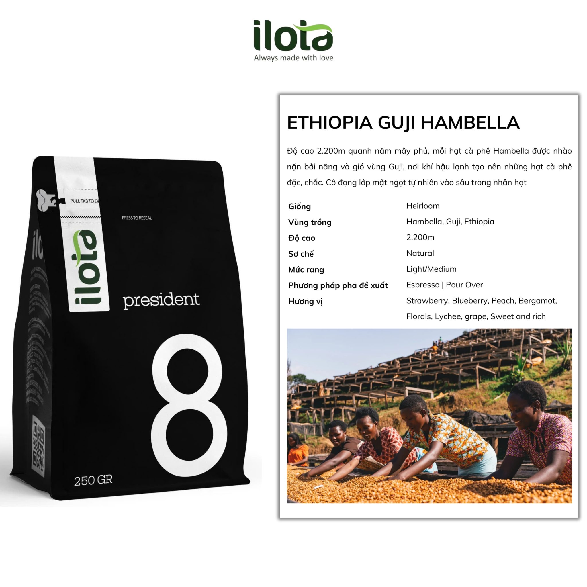arabica-ethiopia-guji-hambella-g1
