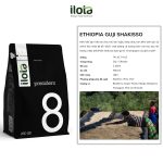arabica-ethiopia-guji-shakisso-g1