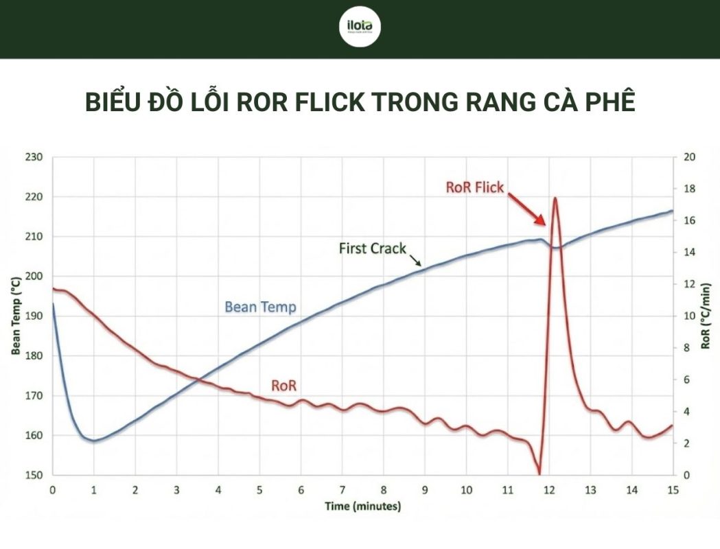 nhan-biet-loi-ror-crash-va-ror-flick