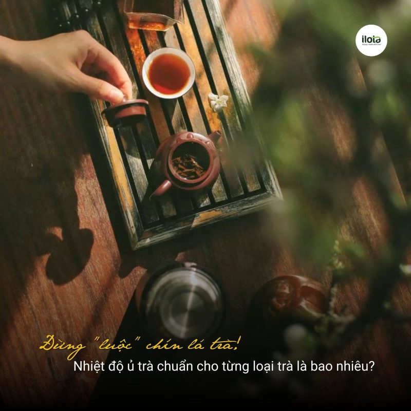 nhiet-do-u-tra-chuan-cho-tung-loai-tra-la-bao-nhieu