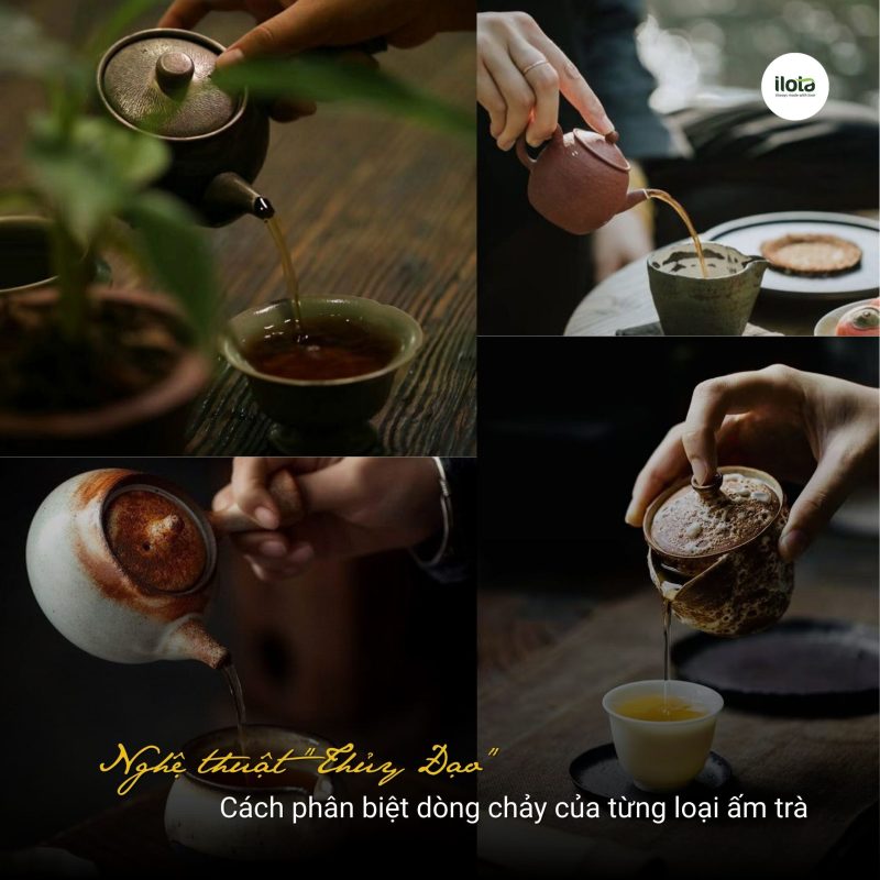 -phan-biet-dong-chay-cua-tung-loai-am-tra
