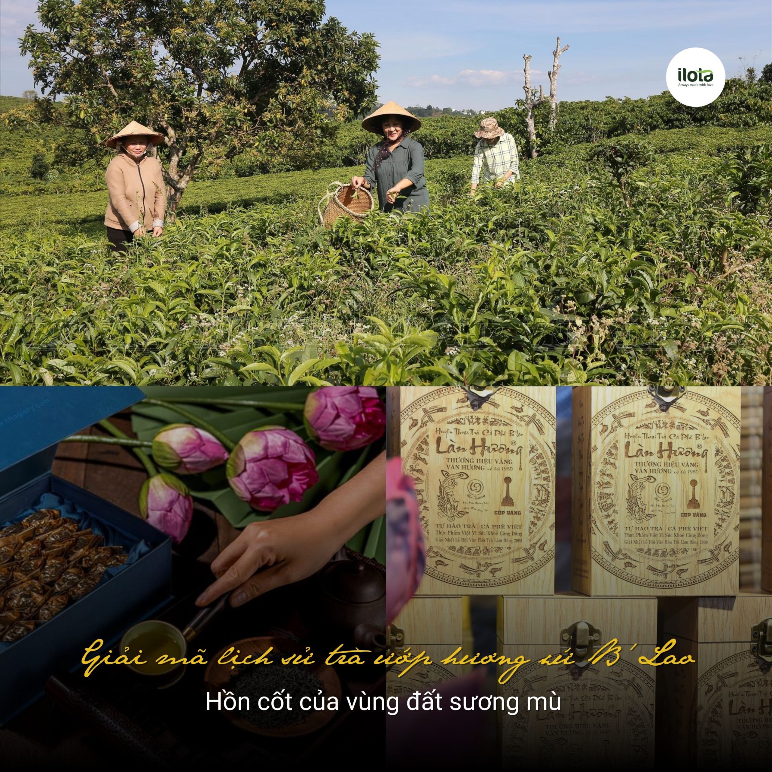 giai-ma-lich-su-tra-uop-huong-xu-b'lao
