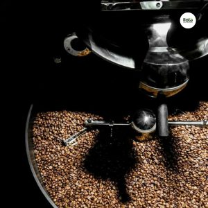 ho-so-vung-trong-hambela-wamena-guji