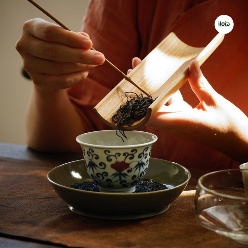 nhiet-do-u-tra-chuan-cho-tung-loai-tra-la-bao-nhieu