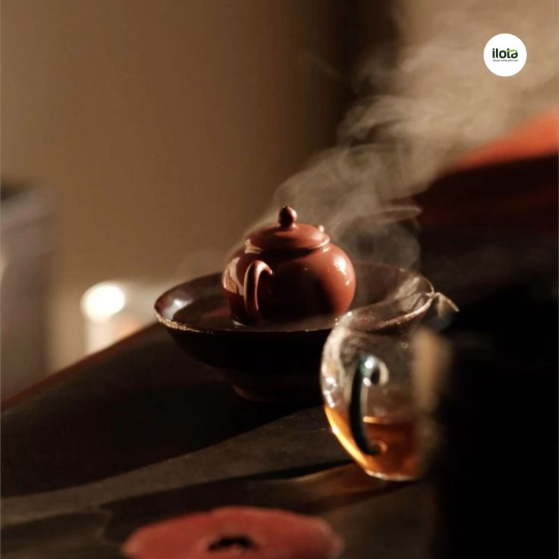 nhiet-do-u-tra-chuan-cho-tung-loai-tra-la-bao-nhieu