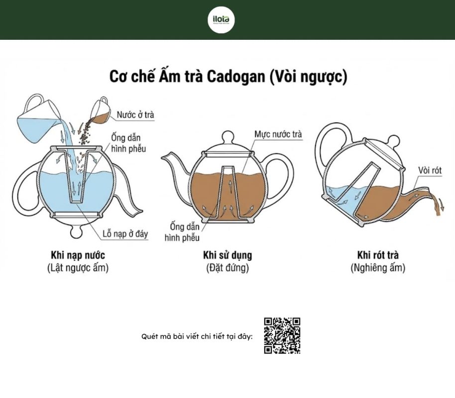 am-tra-cadogan