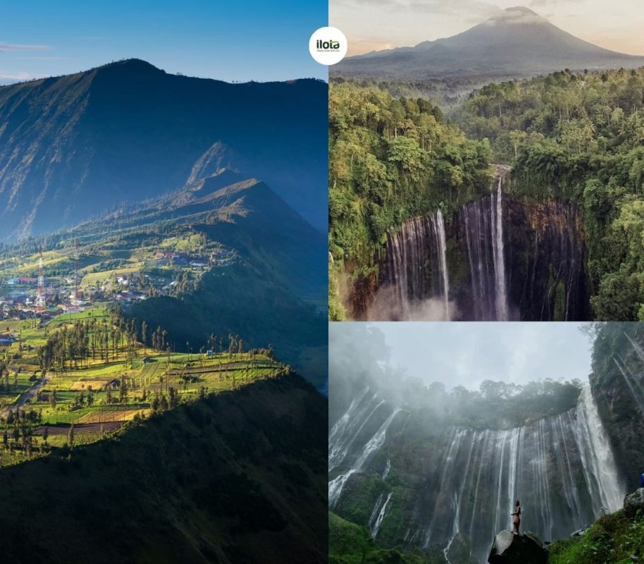 ca-phe-indonesia