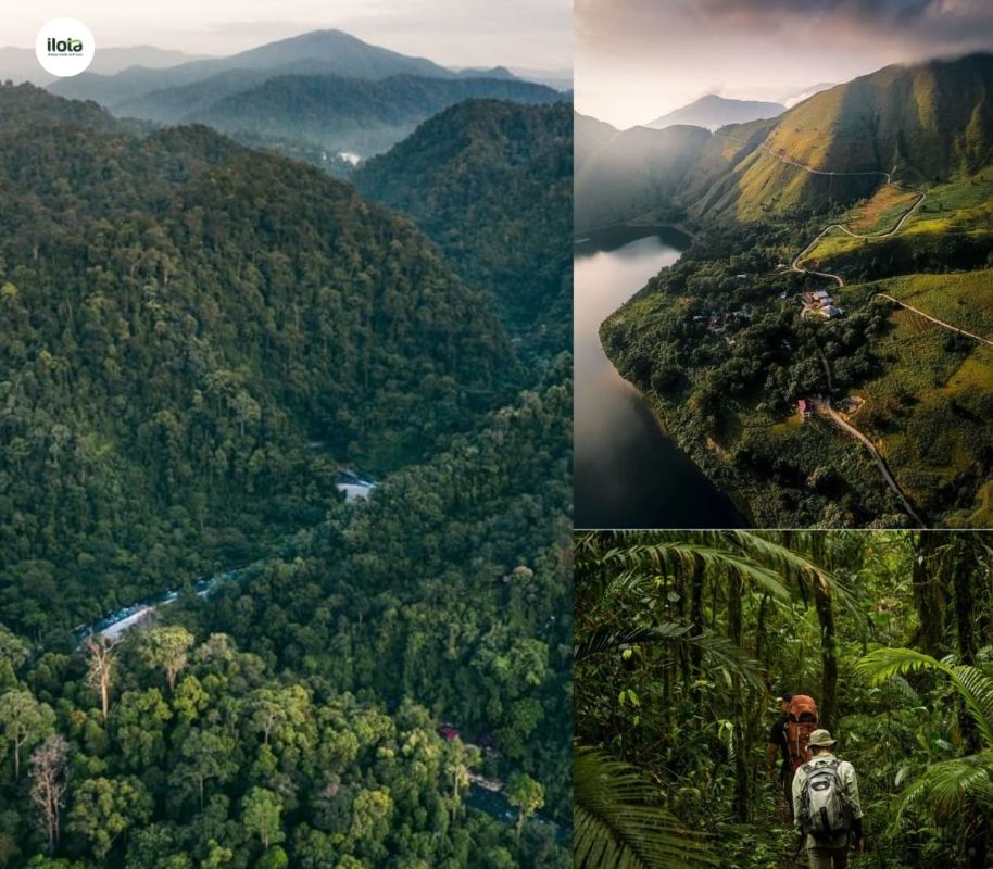 ca-phe-indonesia