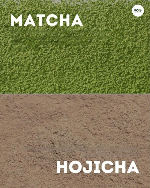 hojicha-&-matcha