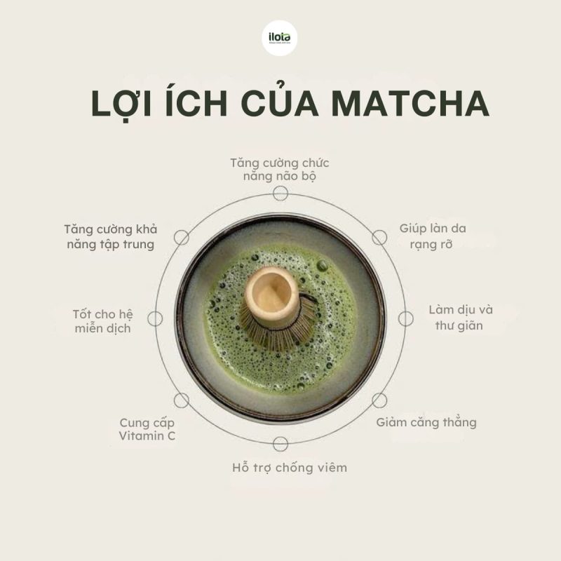 hojicha-&-matcha
