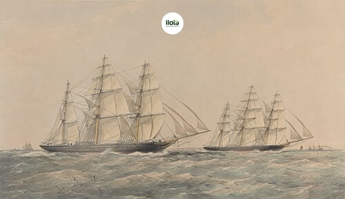 cuoc-dua-tra-vi-dai