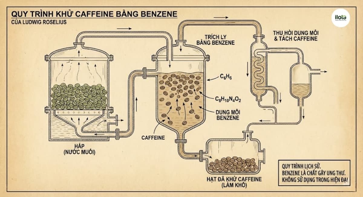 nguon-goc-ca-phe-decaf