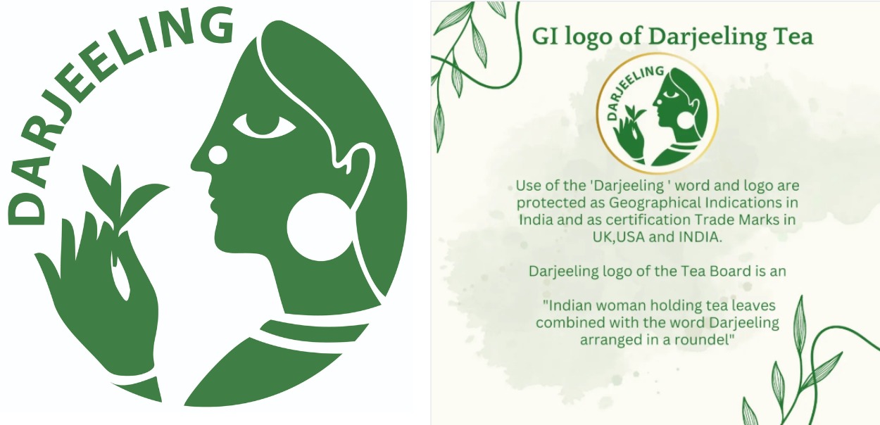 tra-darjeeling-champagne-cua-the-gioi-tra