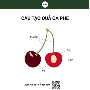 ho-so-vung-trong-hambela-wamena-guji