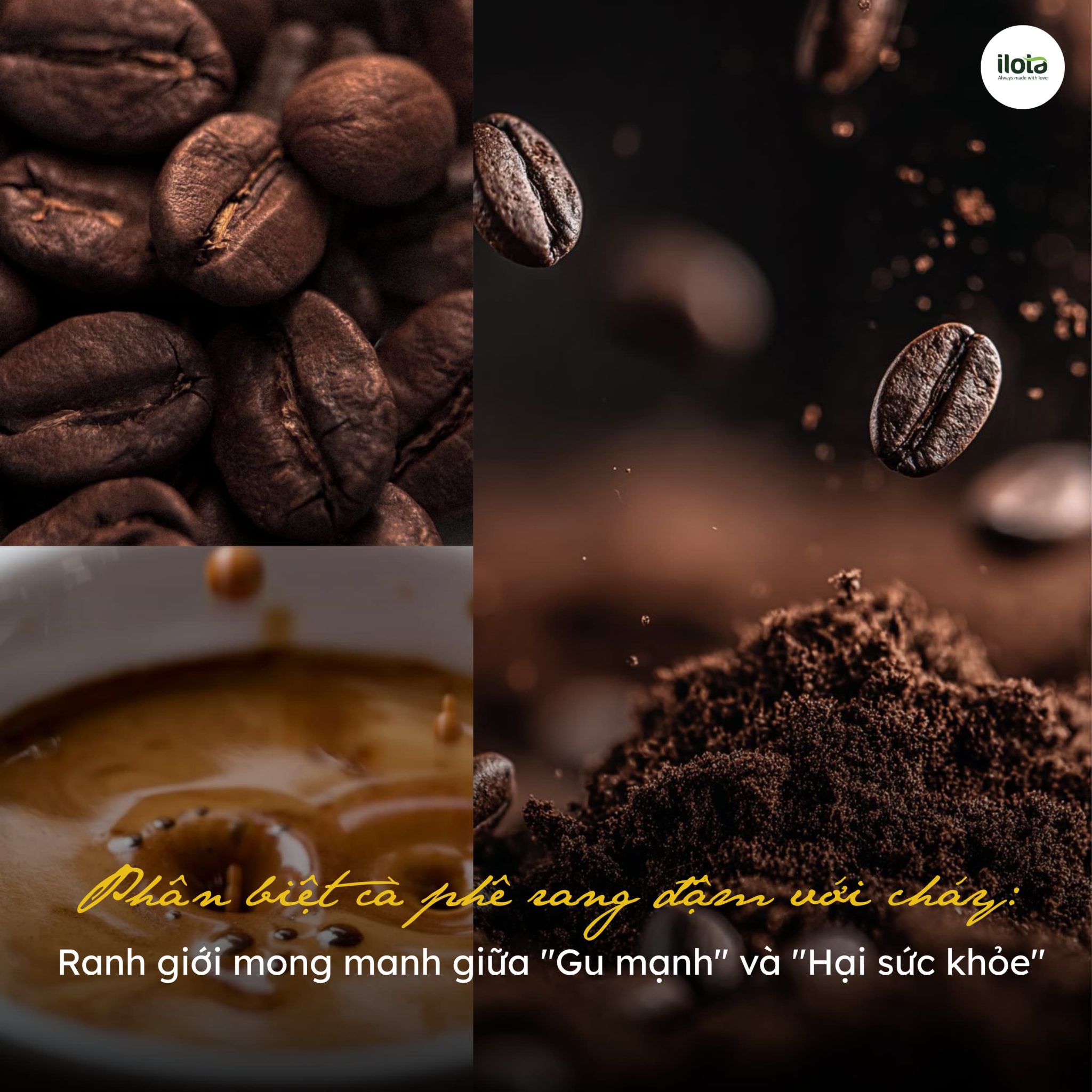 phan-biet-ca-phe-rang-dam-voi-chay