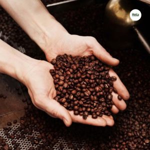 cac-cuoc-thi-ca-phe-tren-the-gioi