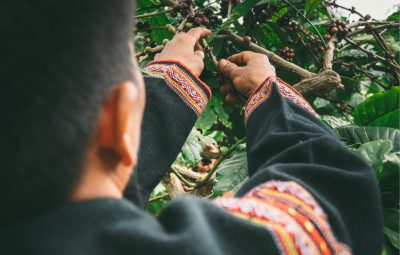 mua-ca-phe-dac-san-lam-qua-o-ha-noi