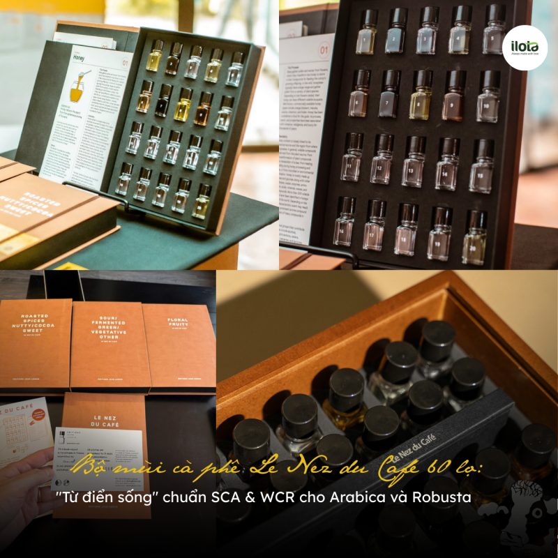 bo-mui-ca-phe-chuan-sca-wcr-cho-arabica-va-robusta