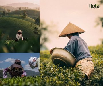 tieu-chuan-hai-tra-4-khac-biet-tao-nen-gia-tri-that