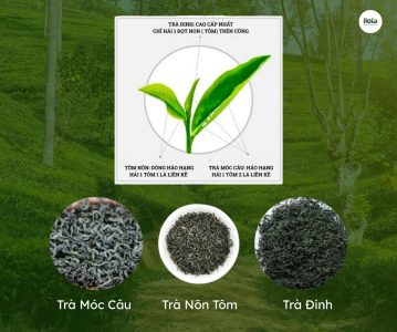 tieu-chuan-hai-tra-4-khac-biet-tao-nen-gia-tri-that