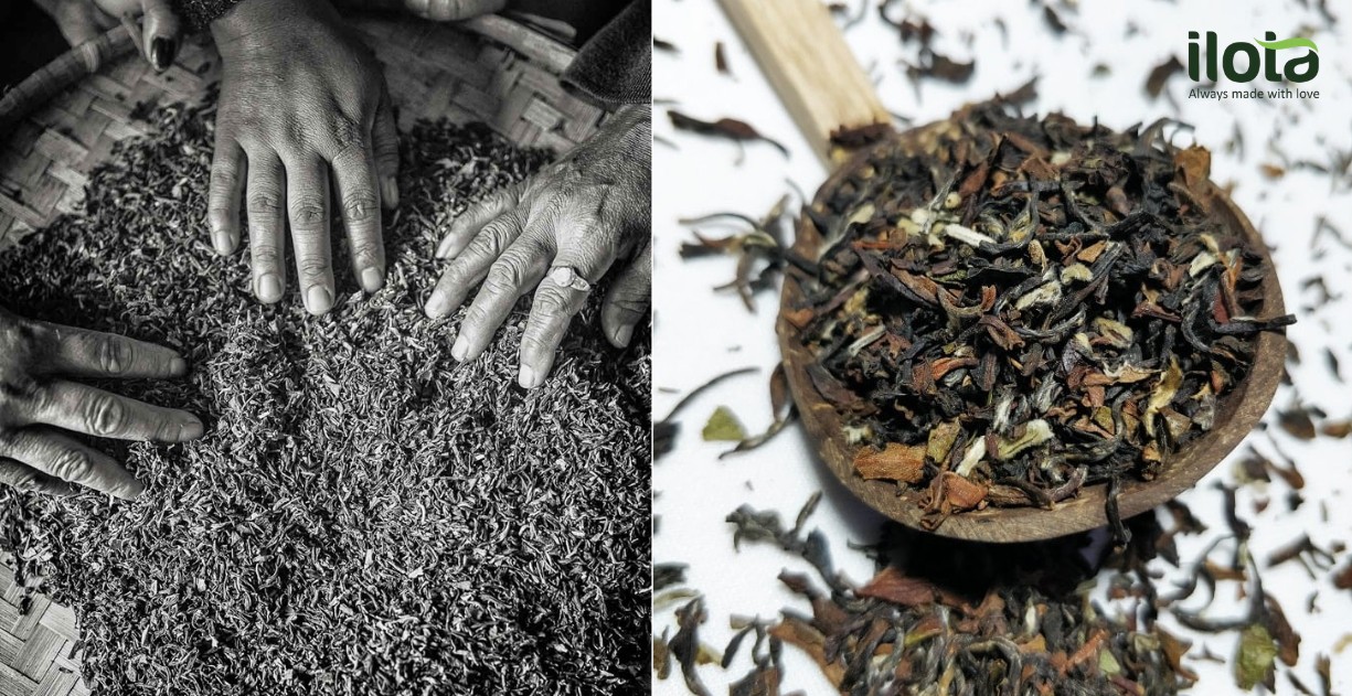 tra-darjeeling-champagne-cua-the-gioi-tra