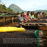 arabica-ethiopia-guji-shakisso-kayon-mountain-farm-g1