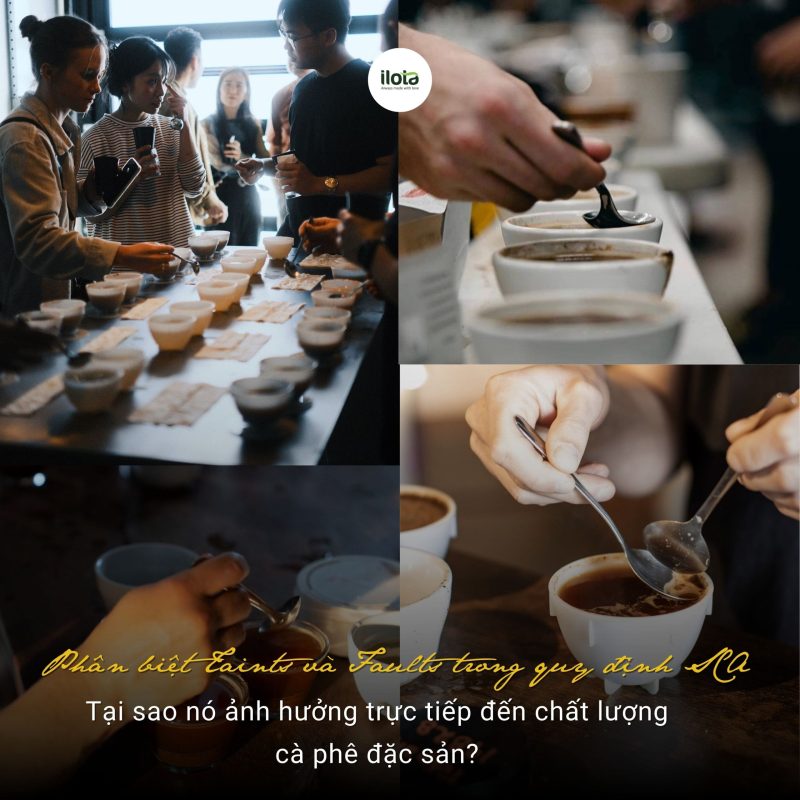phan-biet-taints-va-faults-trong-quy-dinh-sca