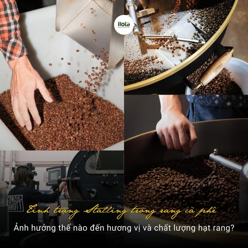 tinh-trang-stalling-trong-rang-ca-phe