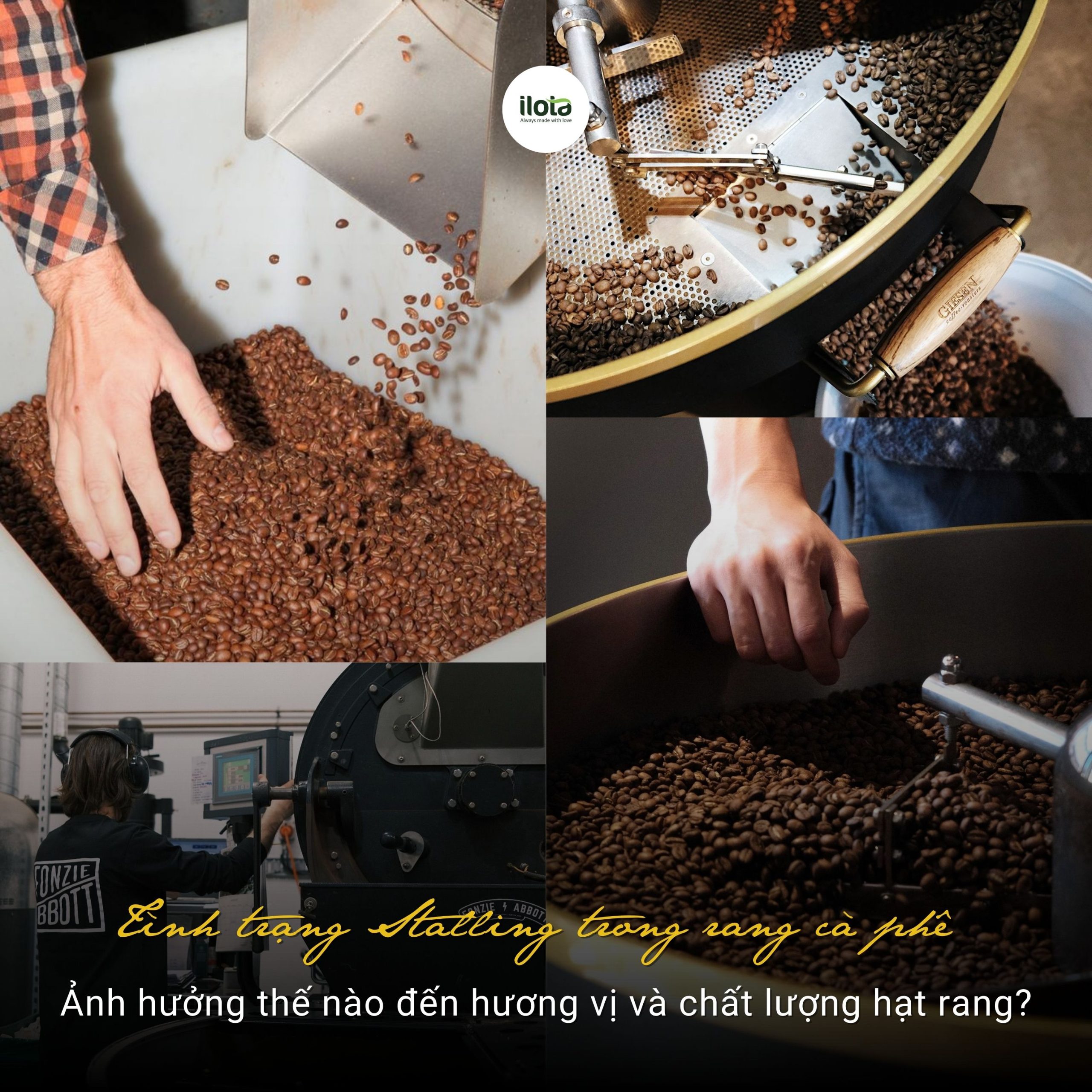 tinh-trang-stalling-trong-rang-ca-phe