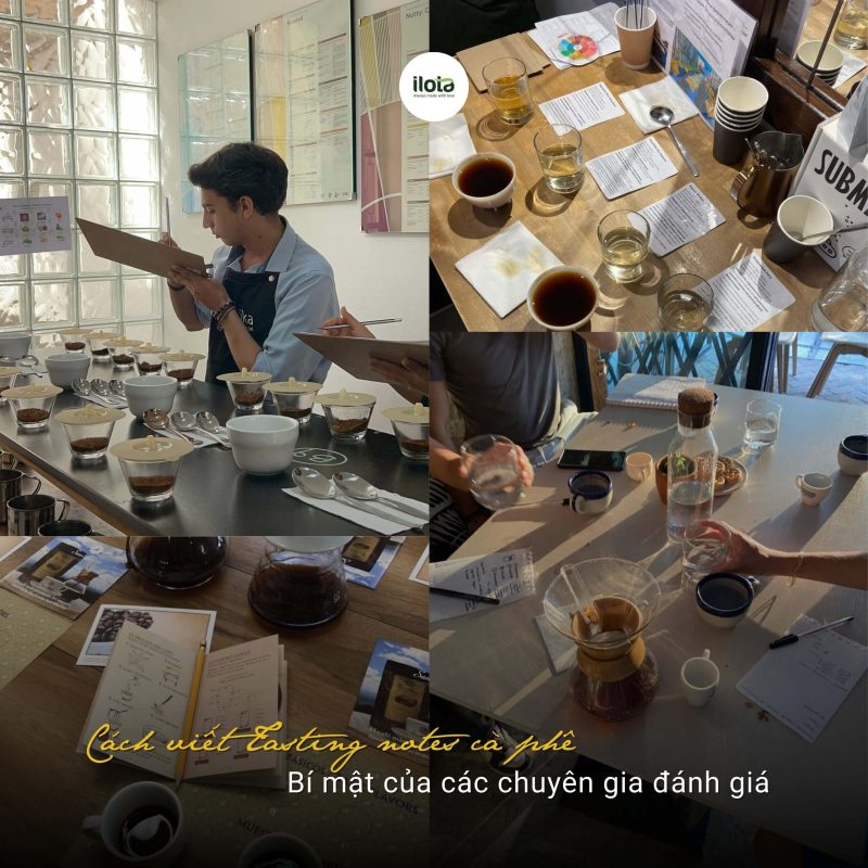 cach-viet-tasting-notes-ca-phe