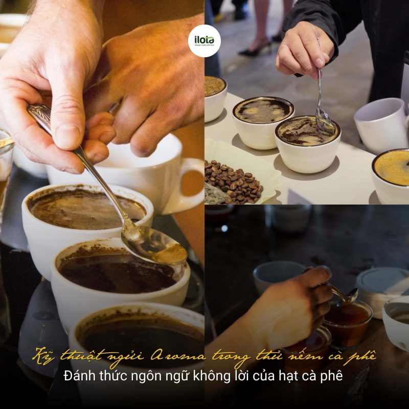 ky-thuat-ngui-aroma-trong-thu-nem-ca-phe