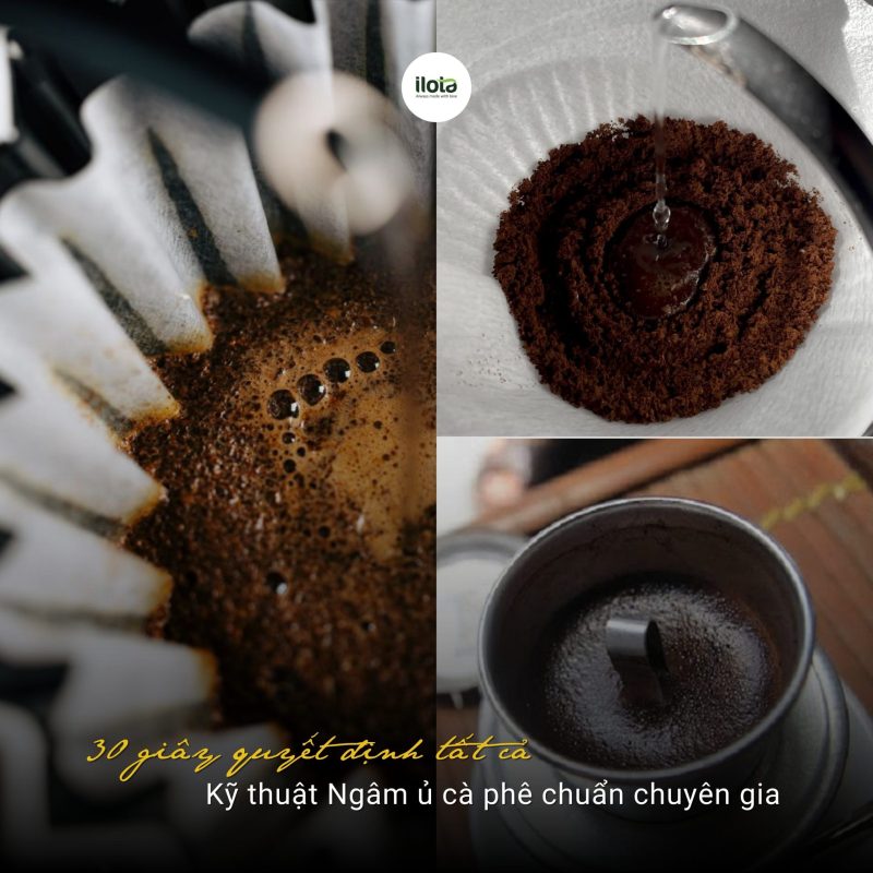 ky-thuat-ngam-u-ca-phe-chuan-chuyen-gia