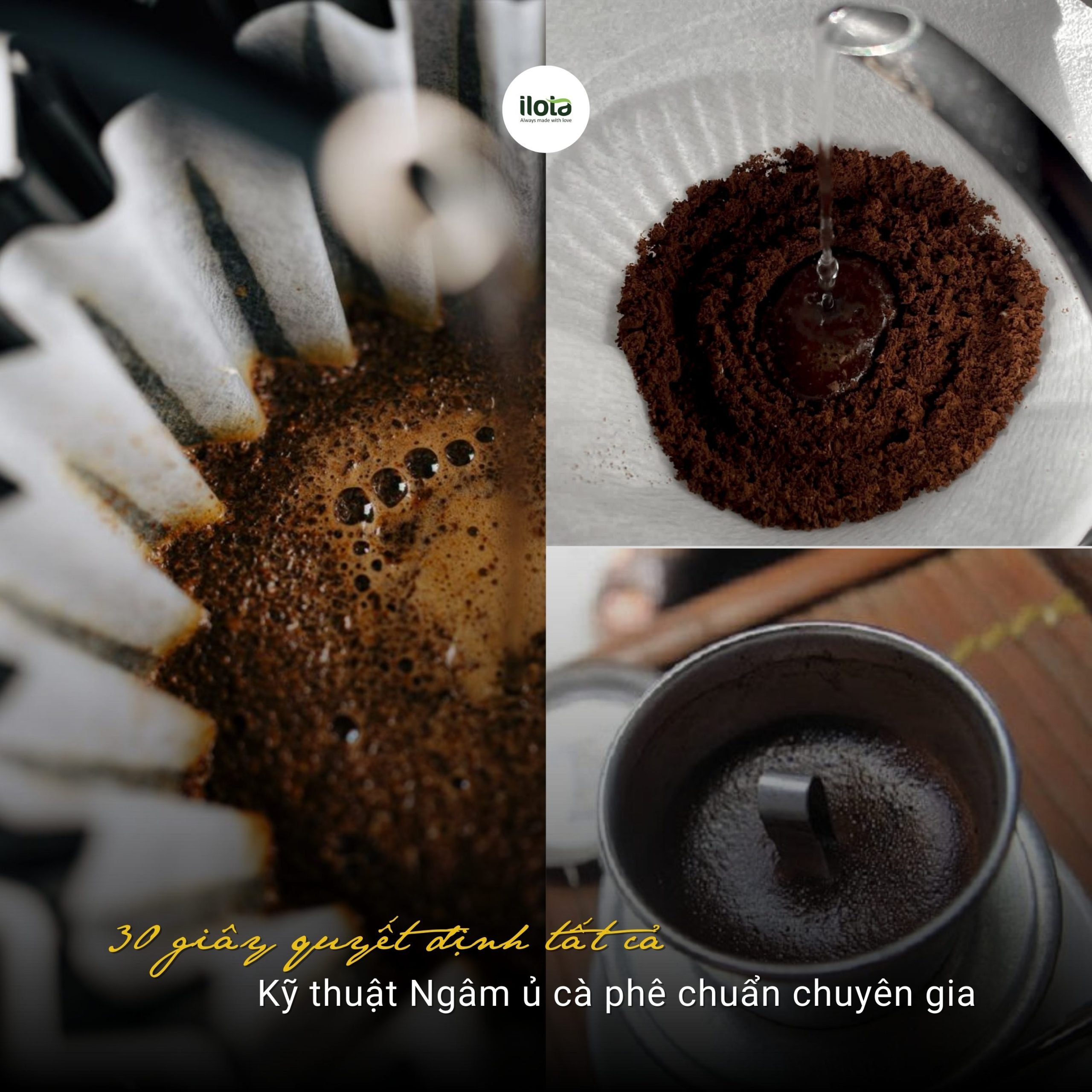 ky-thuat-ngam-u-ca-phe-chuan-chuyen-gia